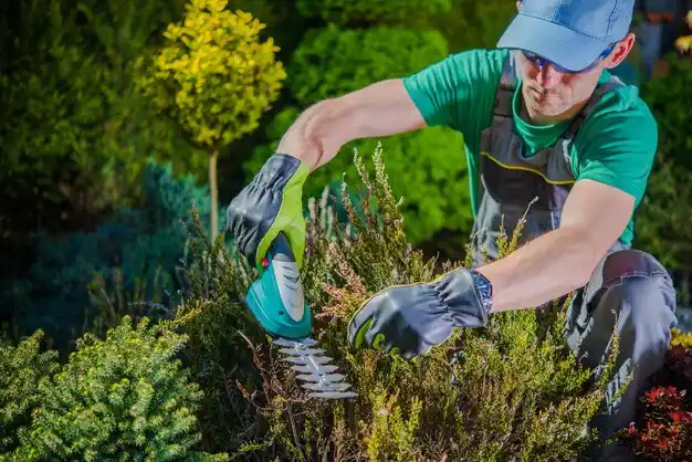 landscaping services Laingsburg